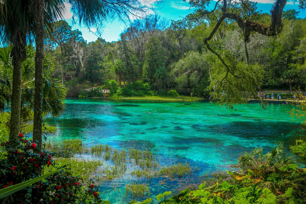 Florida spring